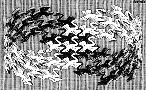 Escher's moebius band of birds