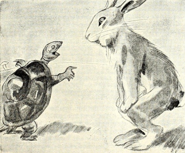 turtoise and rabit